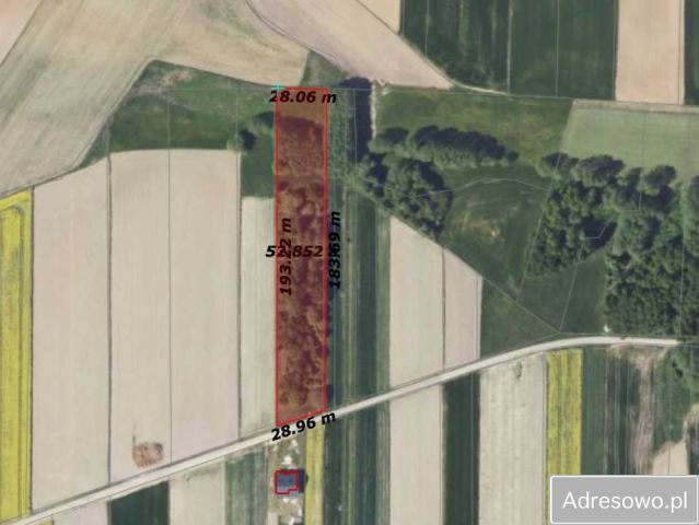 Działka leśna Kopiec. Zdjęcie 1