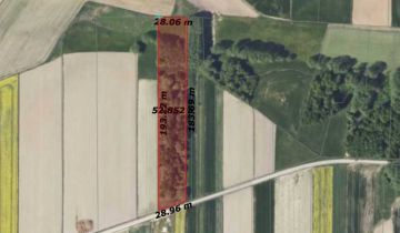 Działka leśna Kopiec