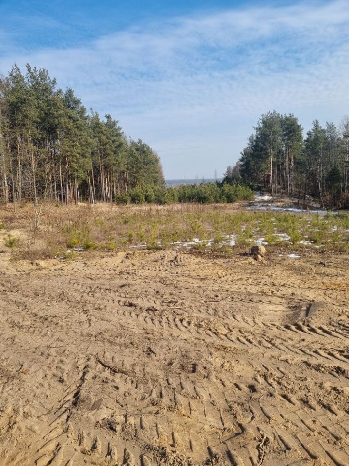 dom wolnostojący Rudnik. Zdjęcie 6