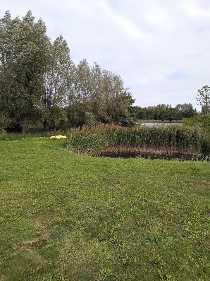 Działka rekreacyjna Wiktorowo. Zdjęcie 3