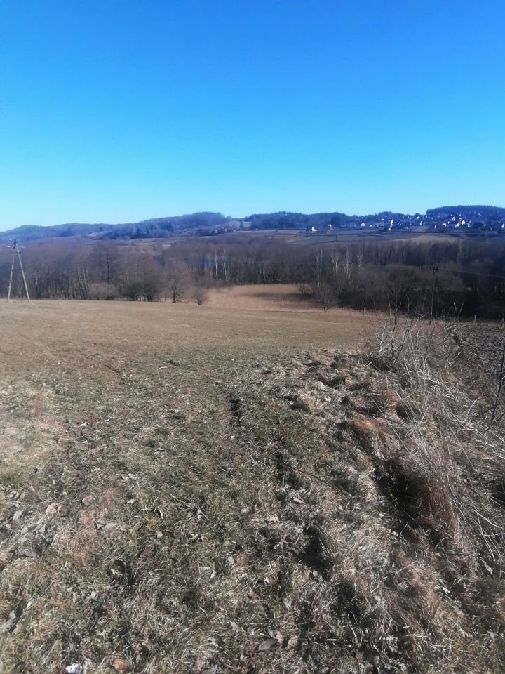 Działka budowlana Pierszczewo. Zdjęcie 5