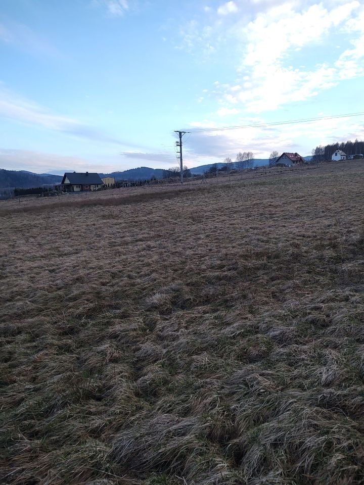 Działka budowlana Ciechanowice. Zdjęcie 5