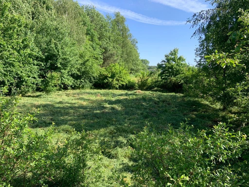 Działka budowlana Krajewo-Korytki. Zdjęcie 5