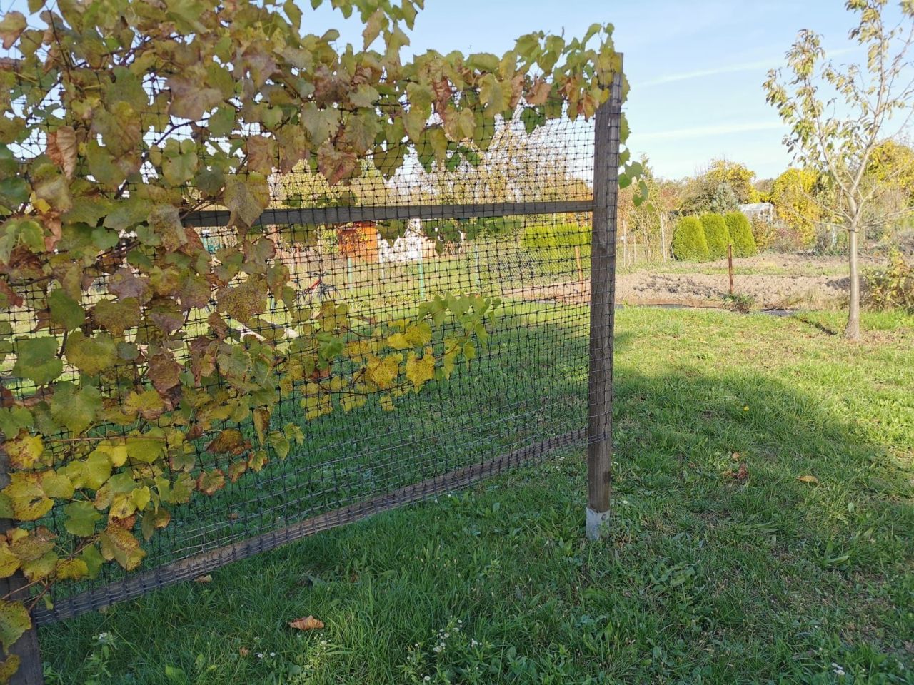 Działka rod Opole. Zdjęcie 6