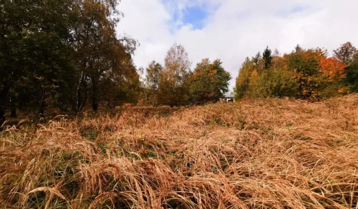 Działka rolna Antoniów