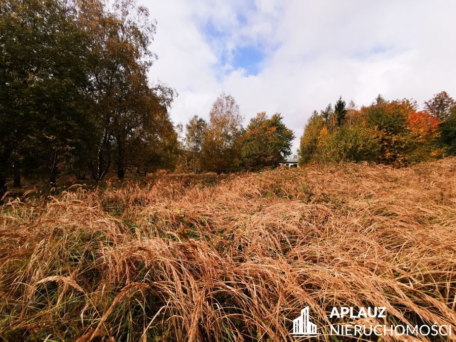 Działka rolna Antoniów