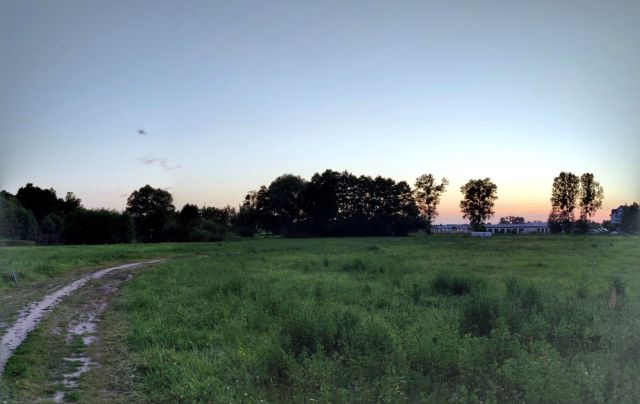 Działka budowlana Głogowo, ul. Bukowa. Zdjęcie 1