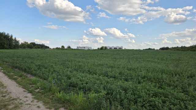 Działka rolna Łódź Widzew, ul. Nad Niemnem. Zdjęcie 5