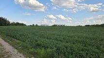 Działka rolna Łódź Widzew, ul. Nad Niemnem. Zdjęcie 4