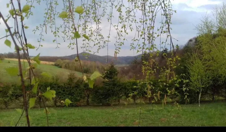 Działka rolno-budowlana Łodzina