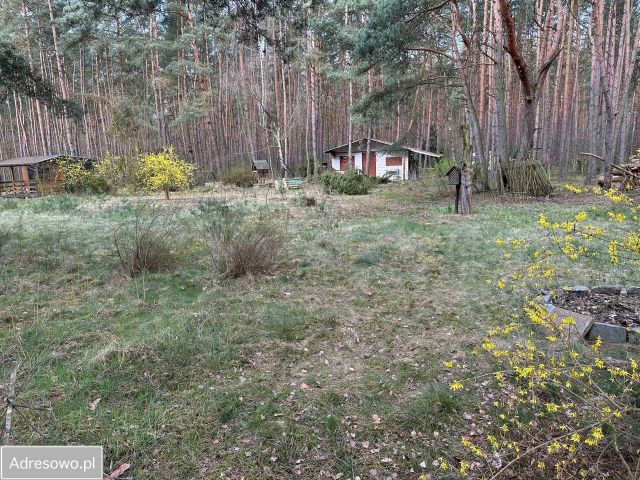 Działka rekreacyjna Krzyżówki. Zdjęcie 1