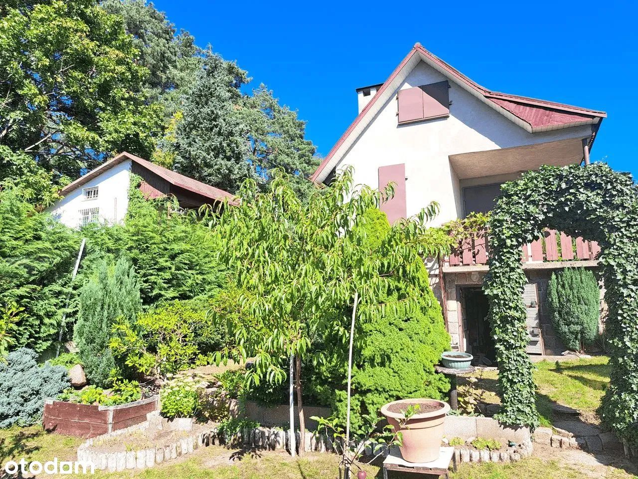 Działka rod Gdańsk Morena, ul. Wołkowyska. Zdjęcie 6