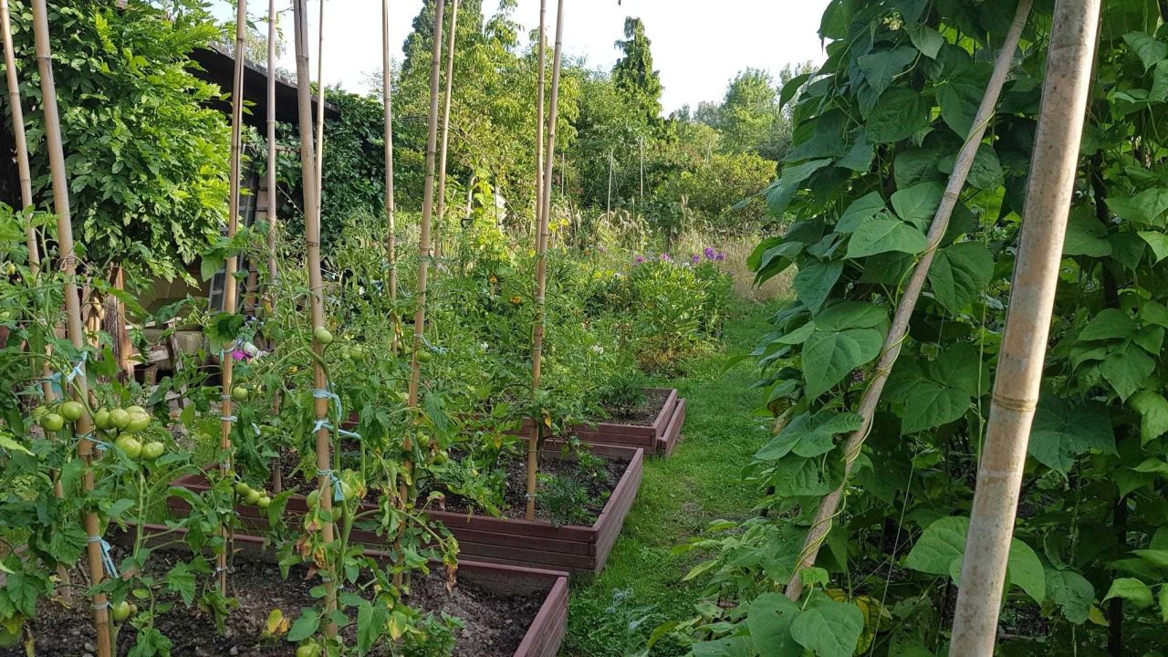 Działka rod Warszawa Ochota, ul. Racławicka. Zdjęcie 3