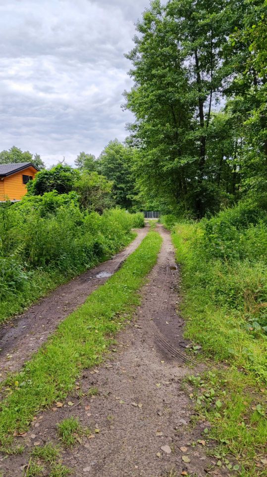 Działka rekreacyjna Sikórz. Zdjęcie 7