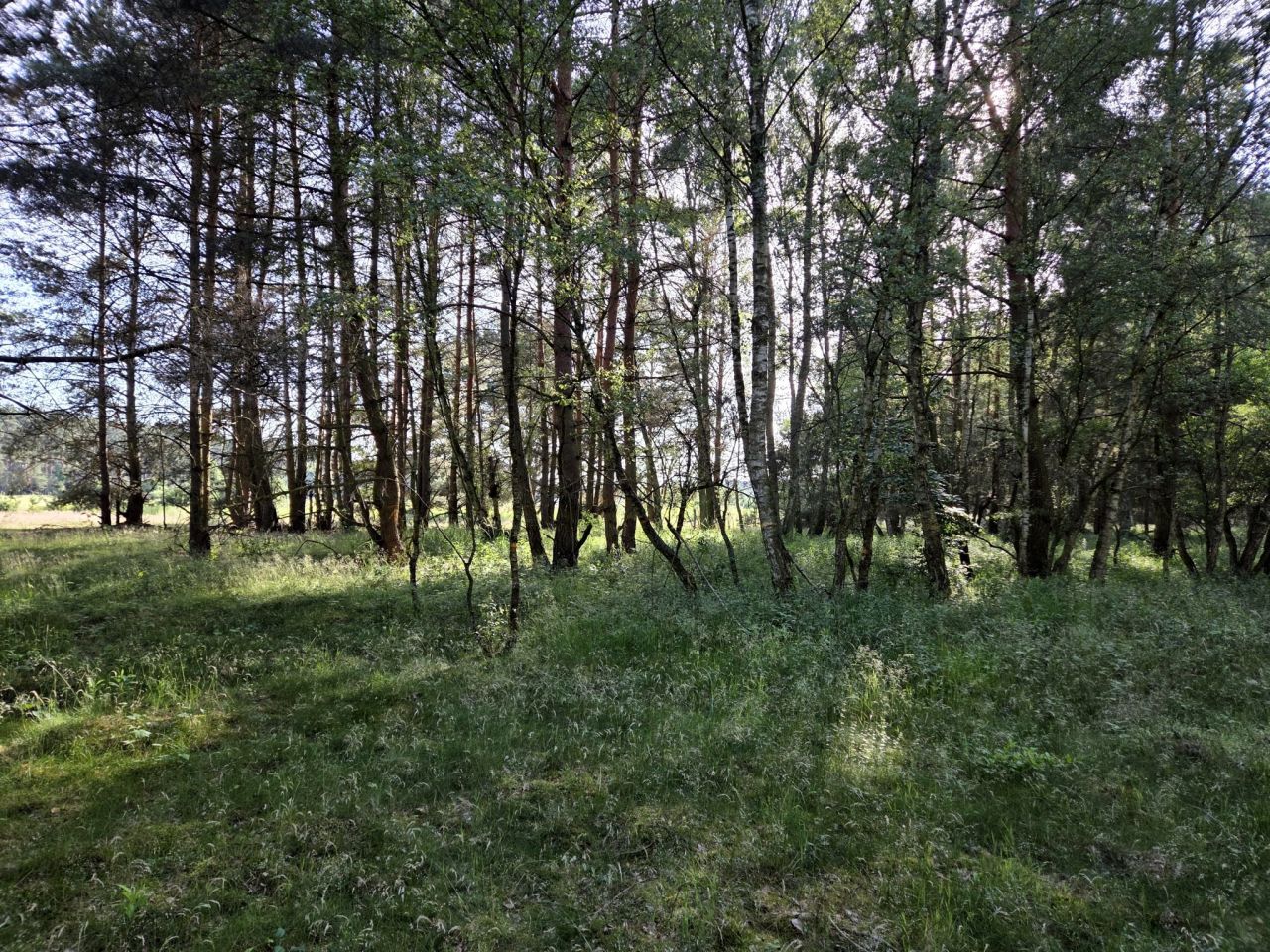Działka rolna Szczecin Wielgowo. Zdjęcie 6