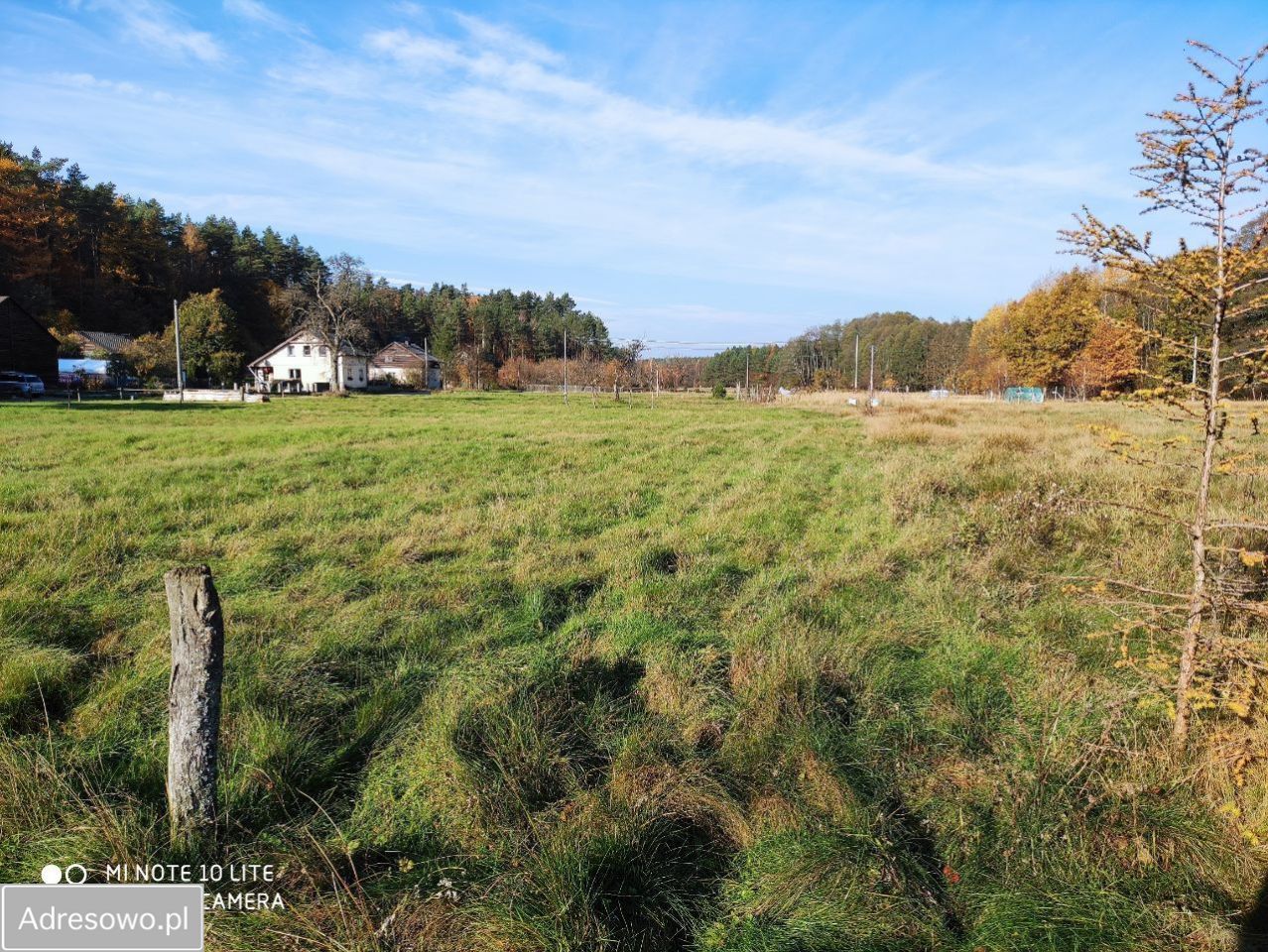 Działka rolno-budowlana Wiewiórowo. Zdjęcie 12