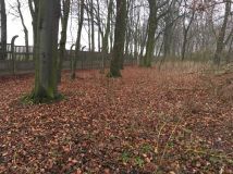 dworek Rokszyce. Zdjęcie 1