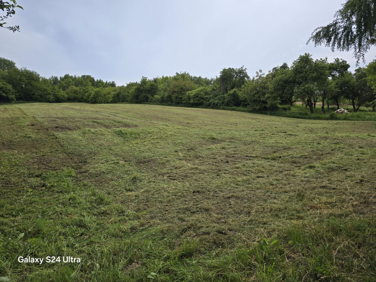 Działka rolno-budowlana Nowy Kamień. Zdjęcie 14