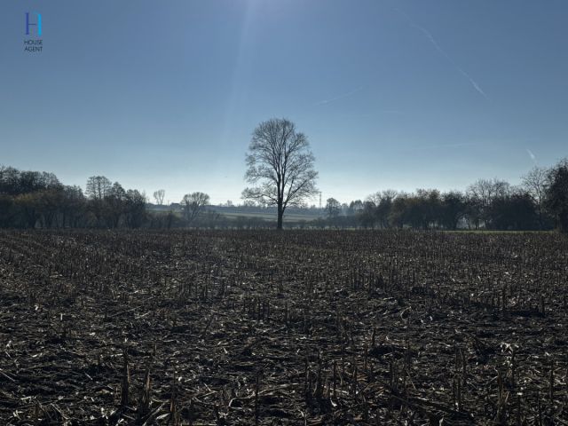 Działka siedliskowa Kolonia Łaznów. Zdjęcie 5