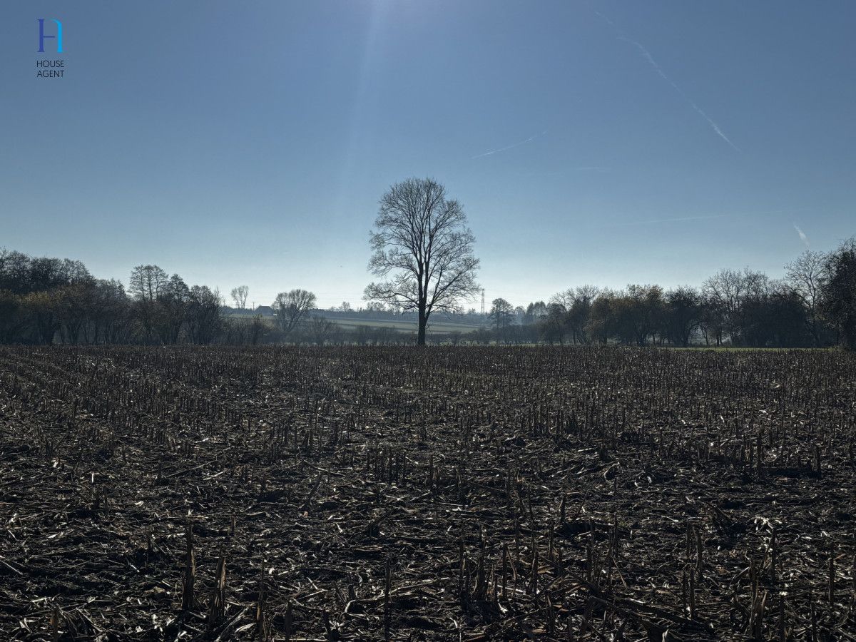 Działka siedliskowa Kolonia Łaznów. Zdjęcie 5