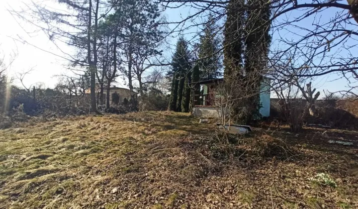 Działka rod Gliwice Stare Gliwice
