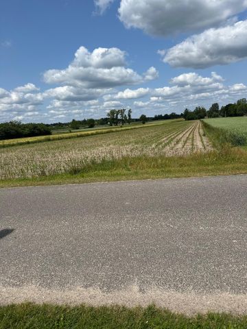 Działka budowlana Czyżemin. Zdjęcie 4