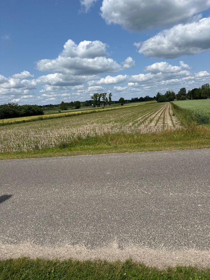 Działka budowlana Czyżemin. Zdjęcie 4