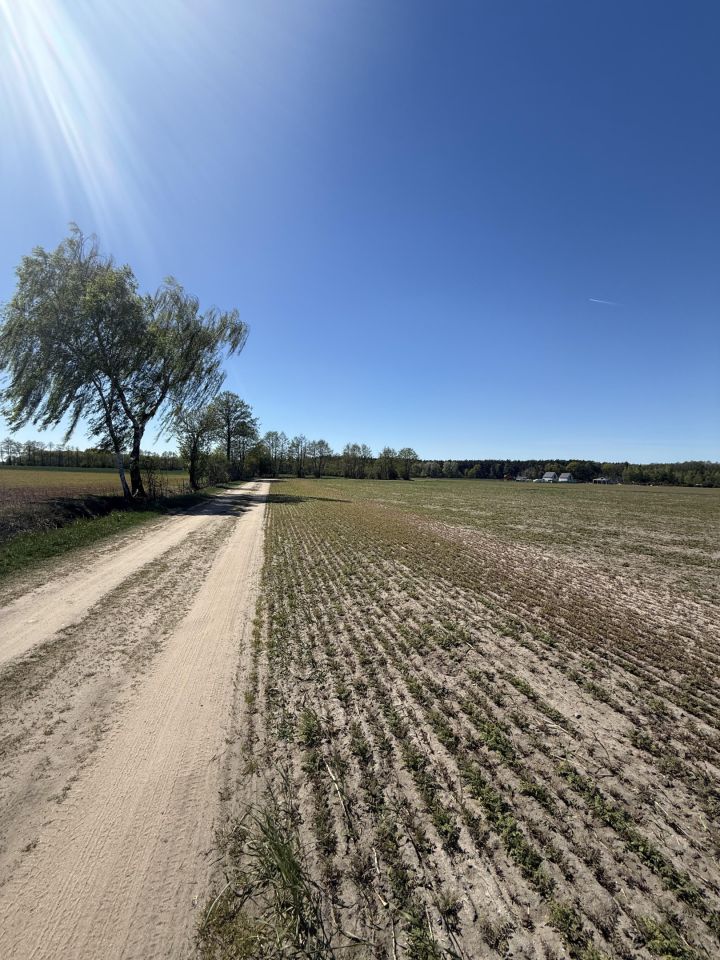 Działka budowlana Skrzynka. Zdjęcie 5