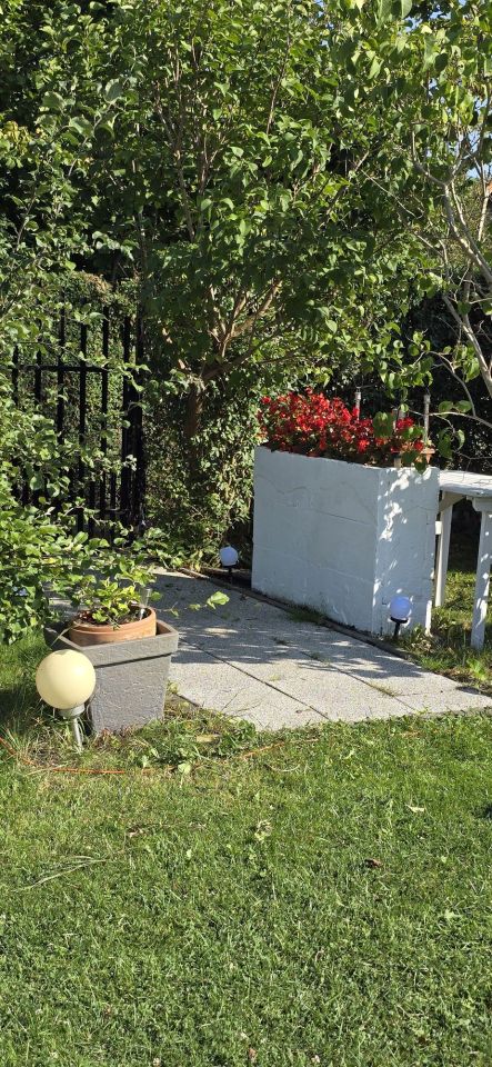 Działka rod Sosnowiec Klimontów. Zdjęcie 6