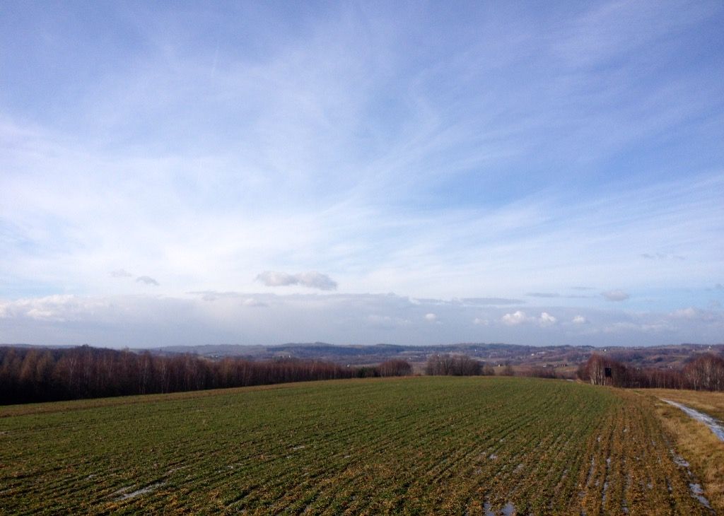 Działka rolno-budowlana Grudna Górna. Zdjęcie 6