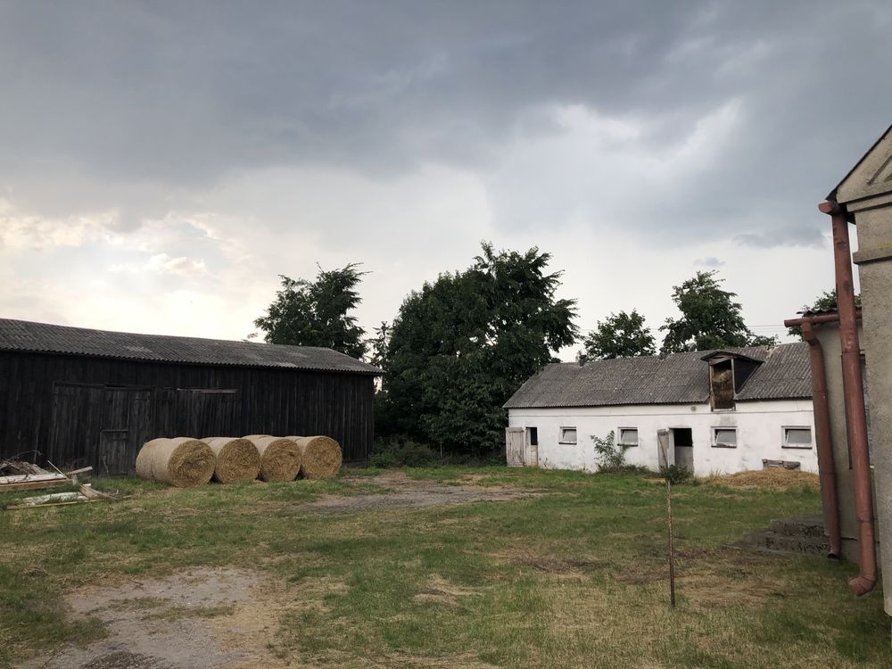 gospodarstwo Łubki. Zdjęcie 8