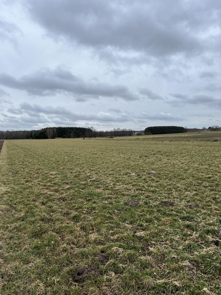 Działka rolno-budowlana Lasomin. Zdjęcie 3