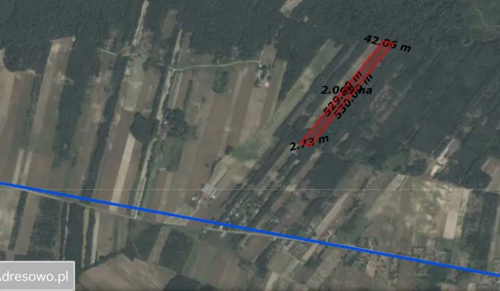 Działka leśna Zaborowie