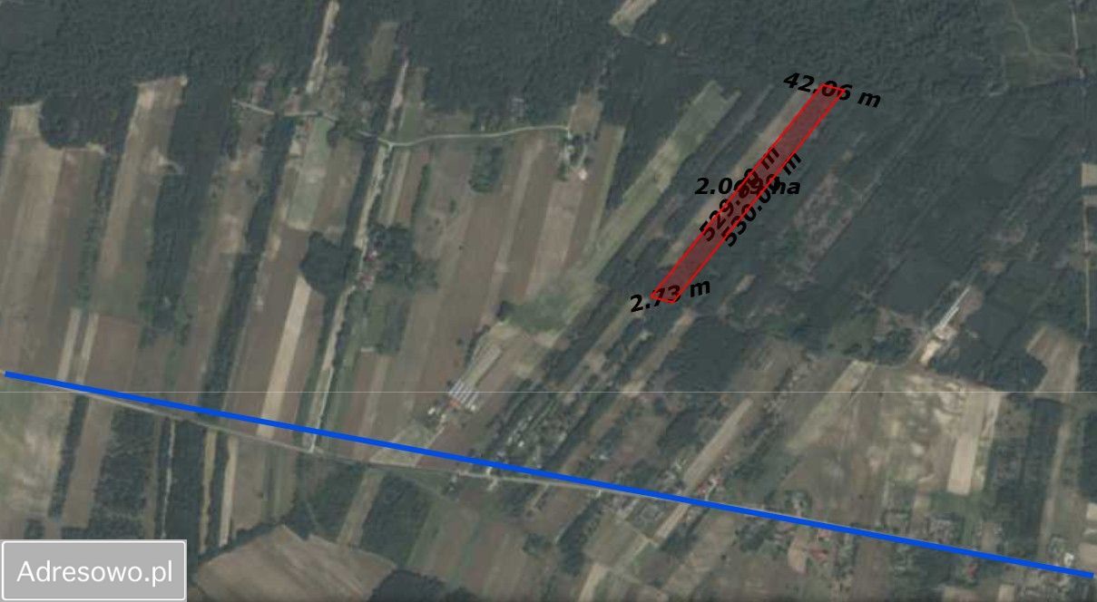 Działka leśna Zaborowie. Zdjęcie 1