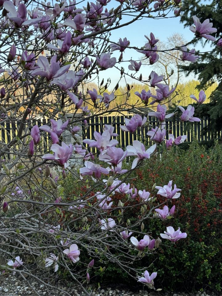 dom wolnostojący, 4 pokoje Huta Żabiowolska, Główna. Zdjęcie 34