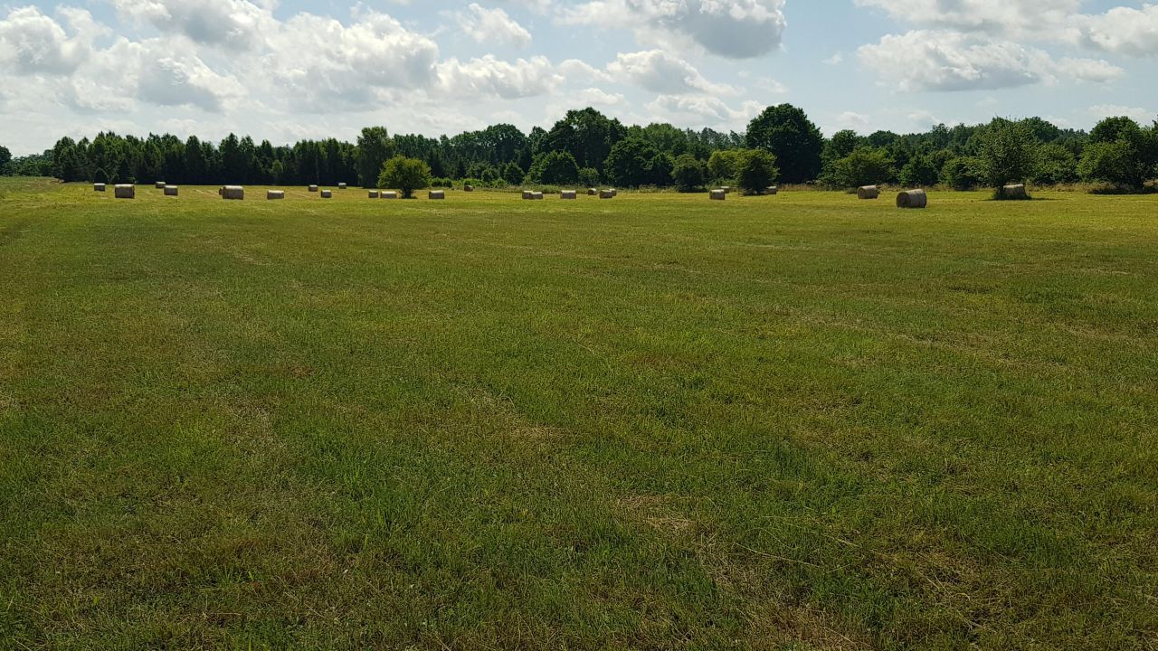 Działka budowlana Sarbsk, Sarbsk. Zdjęcie 5