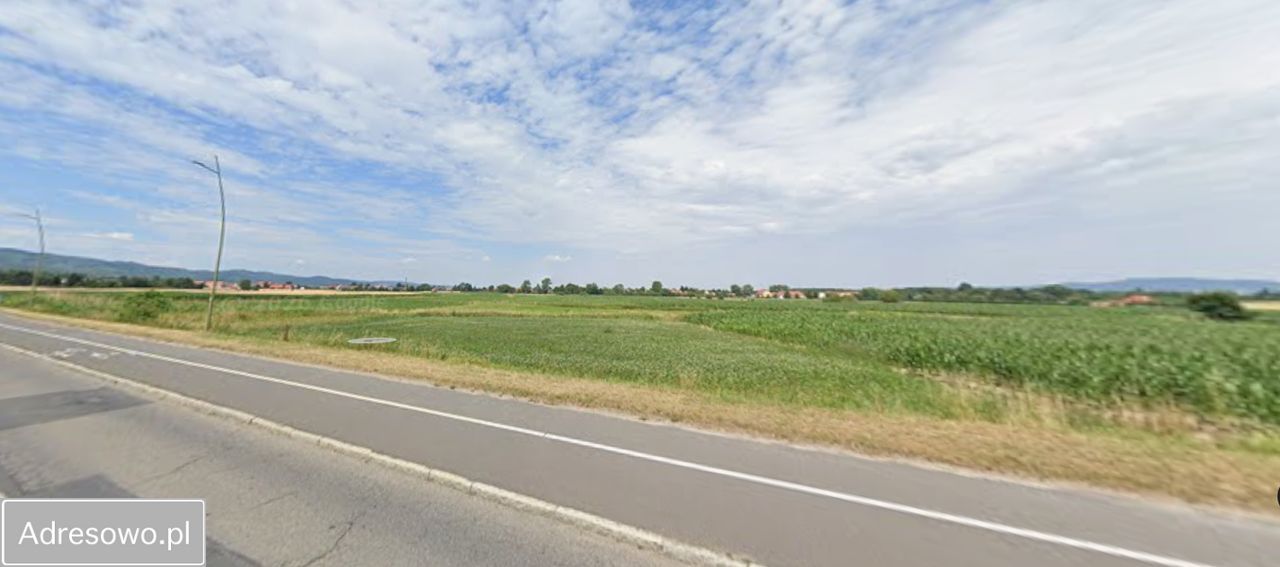 Działka budowlana Pieszyce. Zdjęcie 3