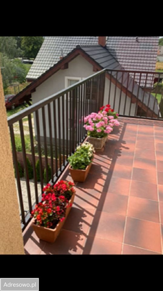 bliźniak, 6 pokoi Luboń Żabikowo. Zdjęcie 6