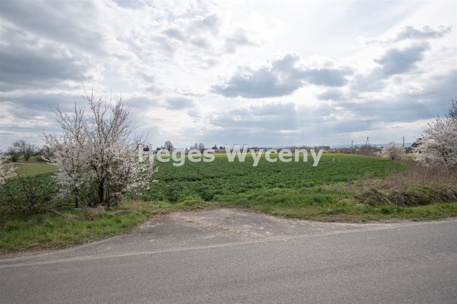 Działka inwestycyjna Snowidza. Zdjęcie 10