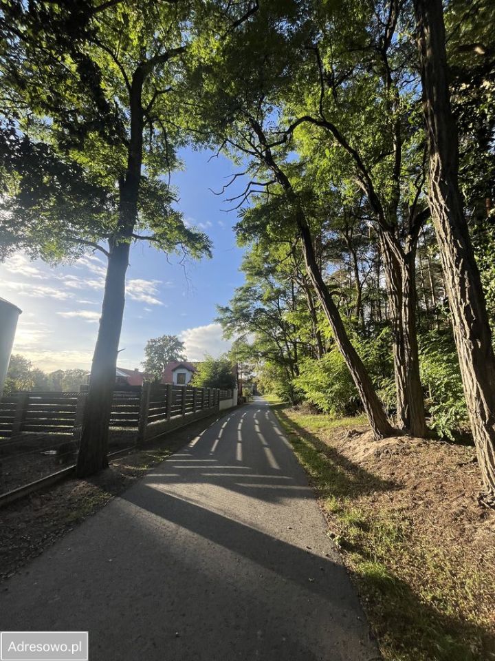 Działka budowlana Biedrzychowice Dolne. Zdjęcie 12