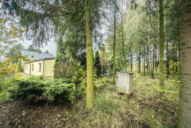 dom wolnostojący, 5 pokoi Wola Czarnyska. Zdjęcie 17