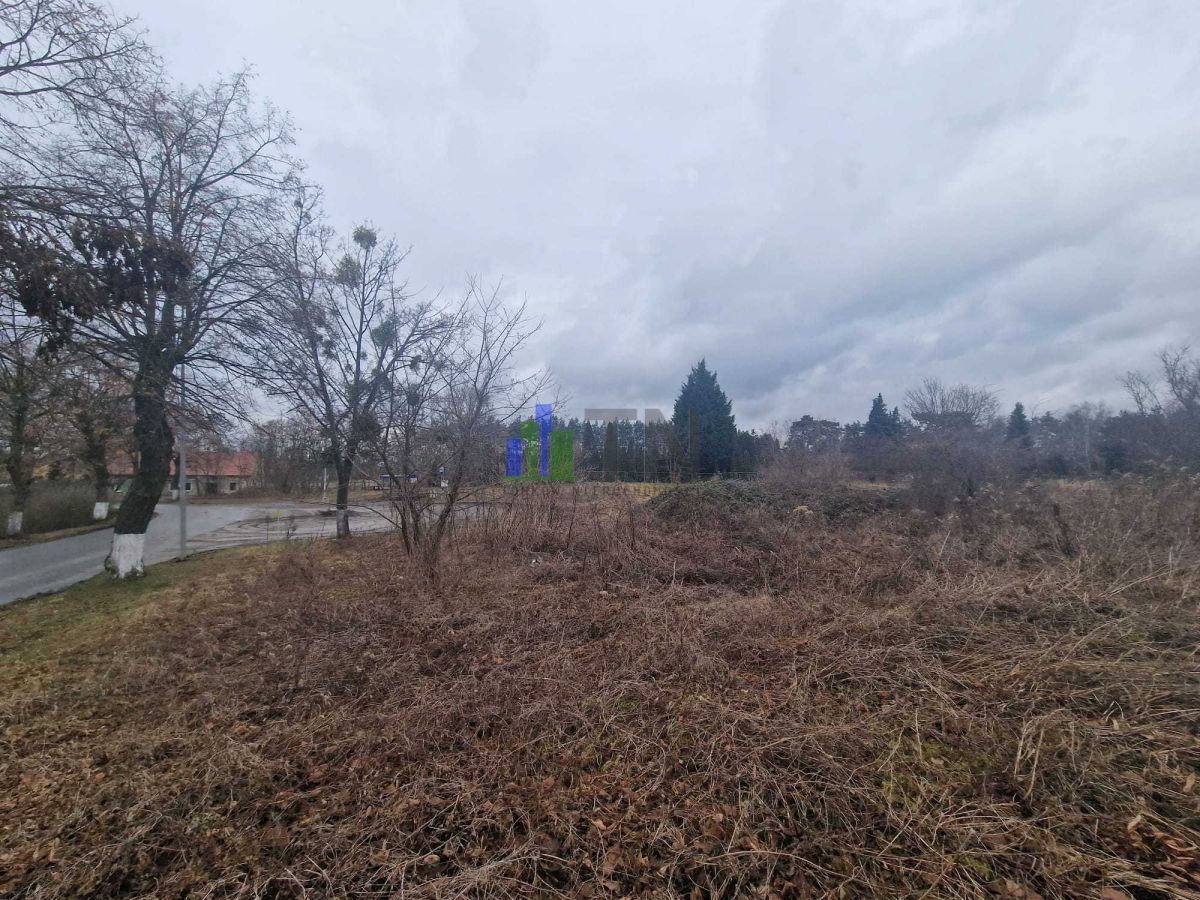 Działka rolna Ratowice. Zdjęcie 2