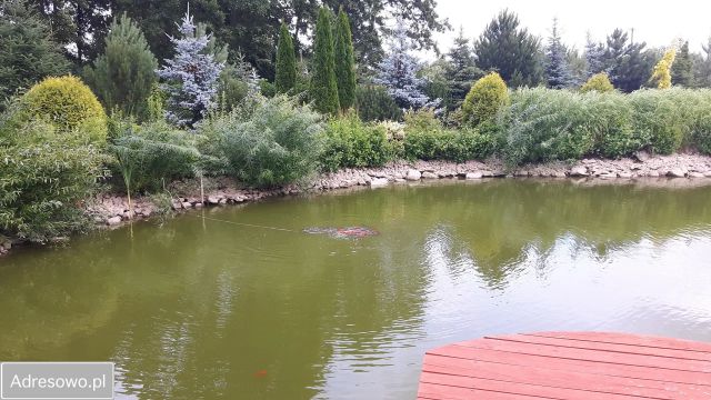 Działka budowlana Łąck, ul. Miodowa. Zdjęcie 1