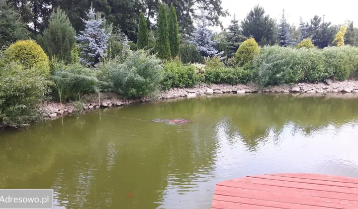 Działka budowlana Łąck, ul. Miodowa