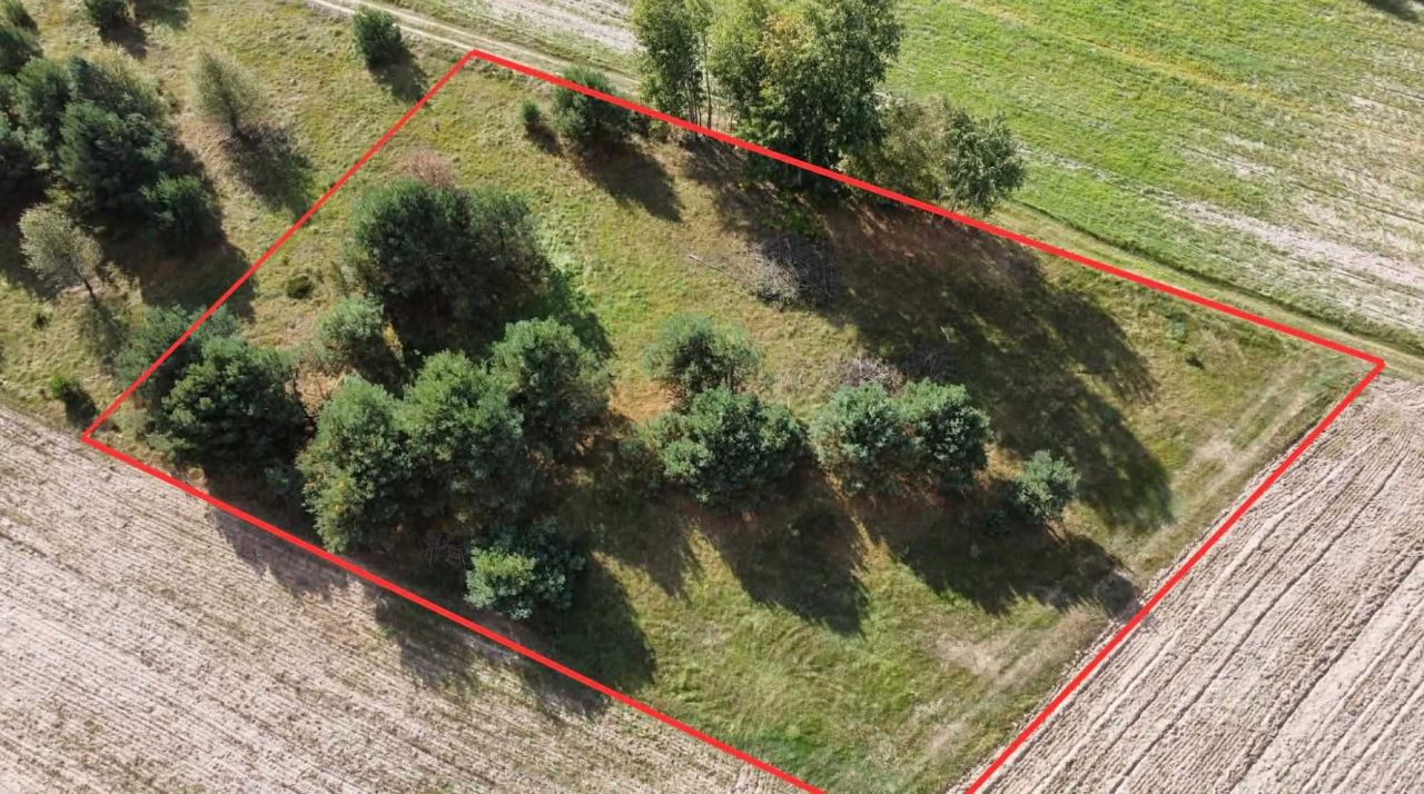 Działka budowlana Wólka Mlęcka. Zdjęcie 2