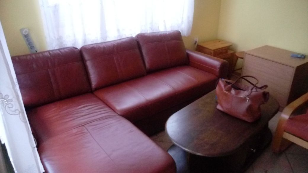 Działka rod Bydgoszcz, ul. Wyścigowa. Zdjęcie 8