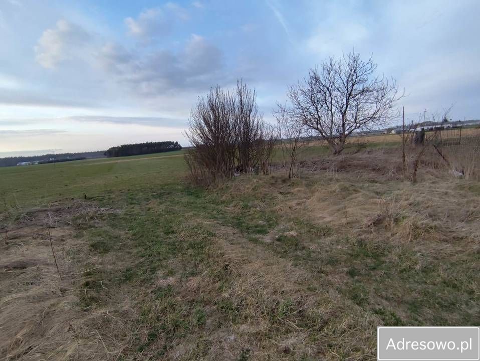 gospodarstwo, 3 pokoje Jeżewo-Wesel. Zdjęcie 4