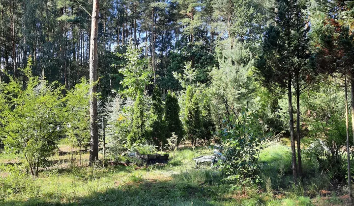 dom wolnostojący, 6 pokoi Kuklówka Zarzeczna