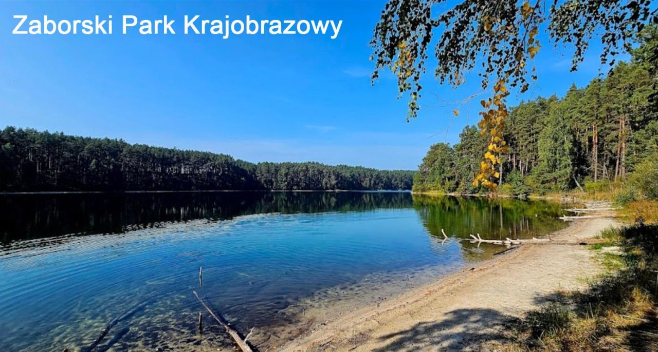 Działka rolna Kiełpin. Zdjęcie 7