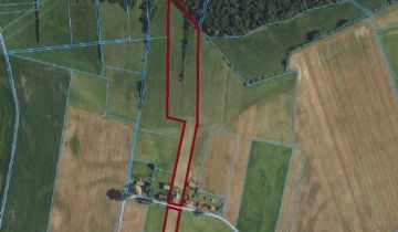 dom wolnostojący, 2 pokoje Wilkasy